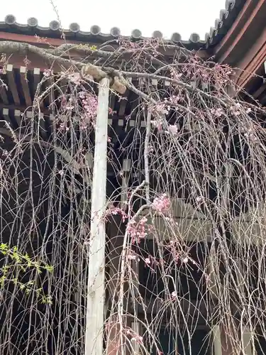 西徳寺(東京都)