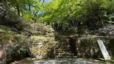 室生寺の{uncategorized: "未分類", other: "その他", undefined: "問題あり", building: "その他建物", grave: "お墓", sacred_gate: "鳥居", guardian: "狛犬", statue: "像", buddha: "仏像", history: "歴史", nature: "自然", garden: "庭園", animal: "動物", pagoda: "塔", temizu: "手水舎", mountain_gate: "山門・神門", sanctuary: "本殿・本堂", subordinate: "末社・摂社", art: "芸術", scenery: "景色", jizo: "地蔵", ema: "絵馬", goshuin: "御朱印", omikuji: "おみくじ", items: "授与品その他", amulet: "お守り", goshuincho: "御朱印帳", eats: "食事", festival: "お祭り", votive_dance: "神楽", shichigosan: "七五三参", wedding: "結婚式", experience: "体験その他", initially: "初詣", around: "周辺", anti_infection: "感染症対策"}