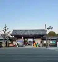 東寺(教王護国寺)(京都府)