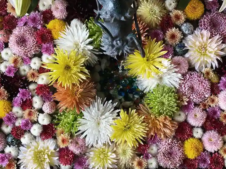 札幌諏訪神社の手水舎