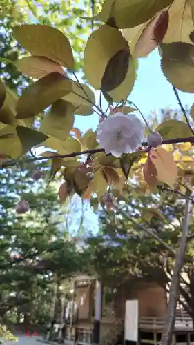 相馬神社の自然