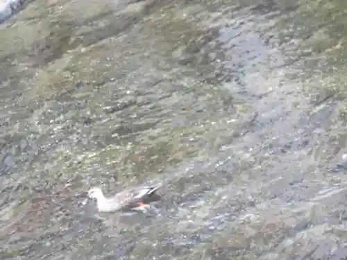 伊勢神宮内宮（皇大神宮）のその他建物