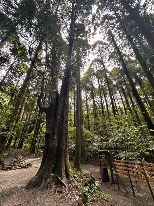 霧島神宮(鹿児島県)
