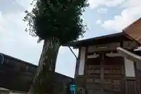 石動神社の自然