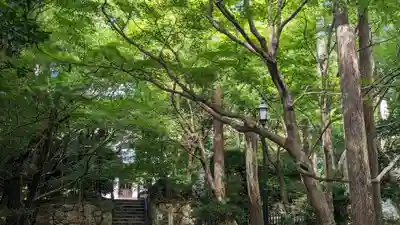龍安寺(京都府)
