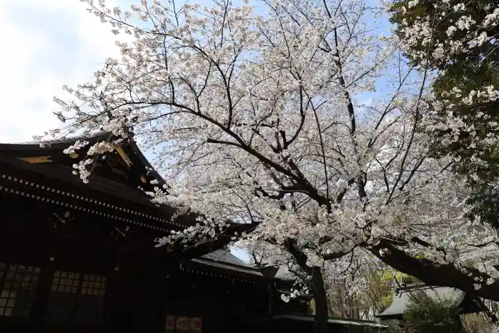 熊野神社(東京都)