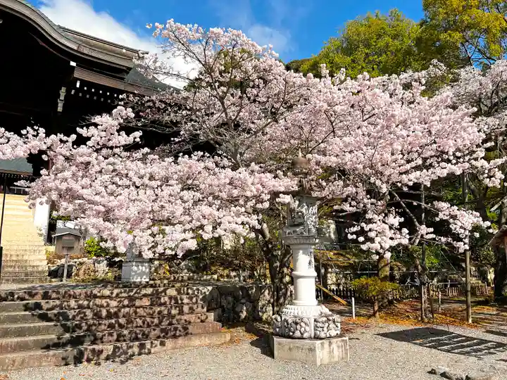 近江神宮の自然