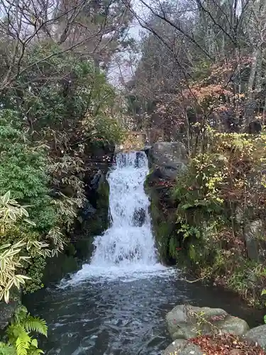 富士山東口本宮 冨士浅間神社の自然