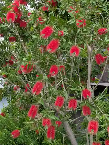 沙沙貴神社(滋賀県)