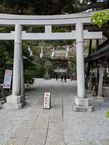 御霊神社(神奈川県)