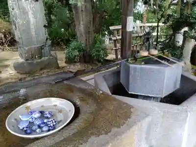 紅葉八幡宮(福岡県)