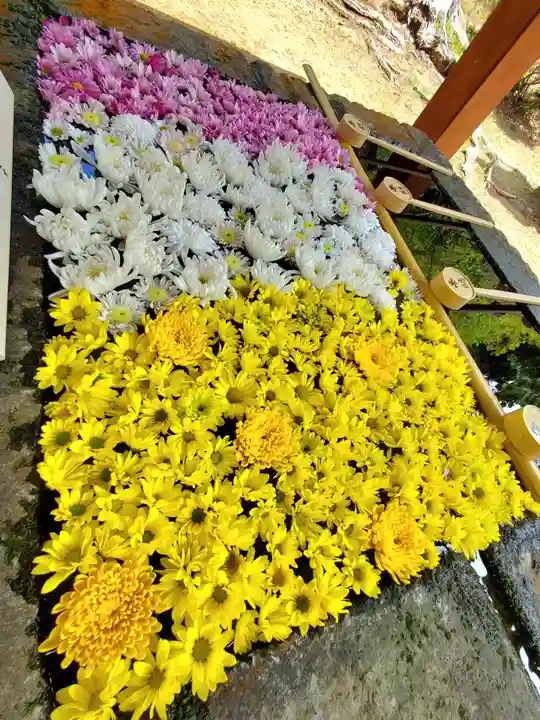 土津神社|こどもと出世の神さまの手水舎