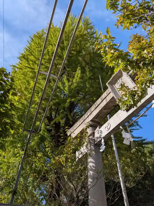 小野照崎神社(東京都)