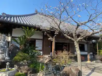 法輪寺(和歌山県)