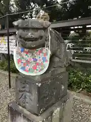 菊田神社の狛犬