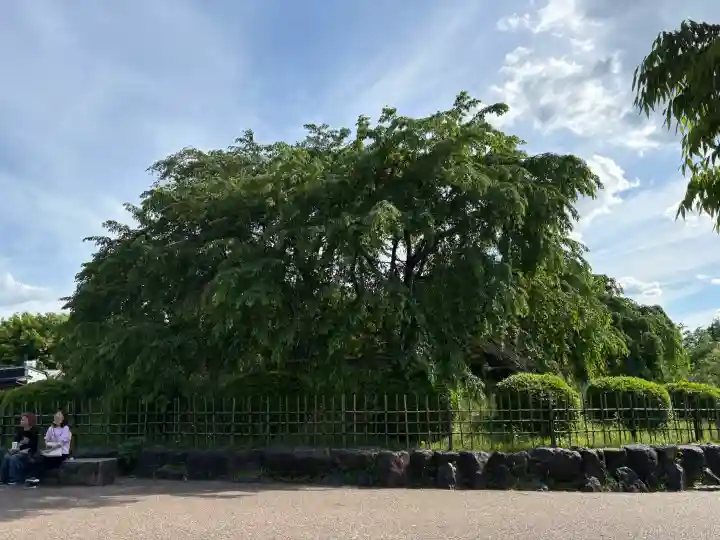 吉水辨財天堂の{uncategorized: "未分類", other: "その他", undefined: "問題あり", building: "その他建物", grave: "お墓", sacred_gate: "鳥居", guardian: "狛犬", statue: "像", buddha: "仏像", history: "歴史", nature: "自然", garden: "庭園", animal: "動物", pagoda: "塔", temizu: "手水舎", mountain_gate: "山門・神門", sanctuary: "本殿・本堂", subordinate: "末社・摂社", art: "芸術", scenery: "景色", jizo: "地蔵", ema: "絵馬", goshuin: "御朱印", omikuji: "おみくじ", items: "授与品その他", amulet: "お守り", goshuincho: "御朱印帳", eats: "食事", festival: "お祭り", votive_dance: "神楽", shichigosan: "七五三参", wedding: "結婚式", experience: "体験その他", initially: "初詣", around: "周辺", anti_infection: "感染症対策"}
