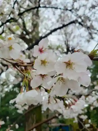 多田神社(東京都)