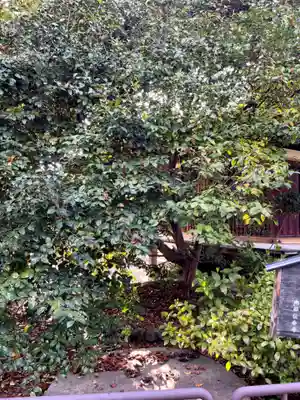 伝香寺(奈良県)