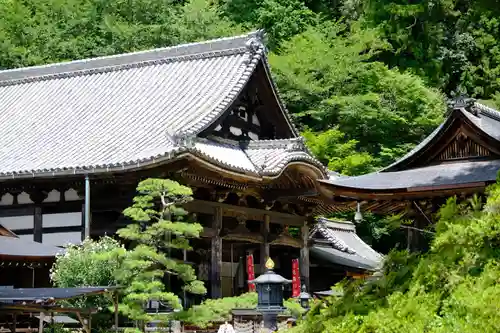 岡寺（龍蓋寺）の本殿・本堂
