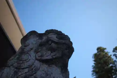 伊奈波神社の狛犬