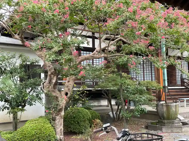 安阿彌寺(安阿弥寺)(京都府)