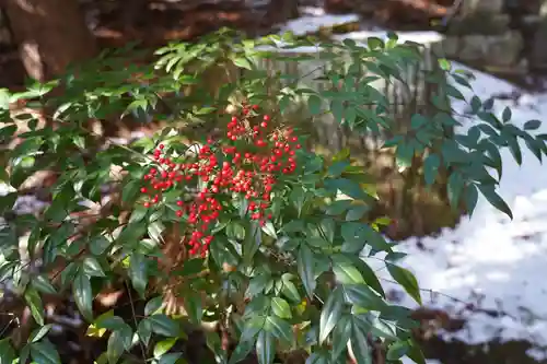 鹿島大神宮の手水舎