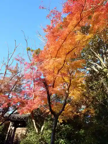 松久寺(愛知県)