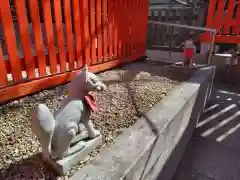 馬橋稲荷神社の建物その他