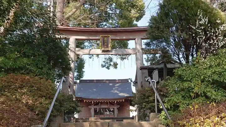 大松氷川神社の鳥居
