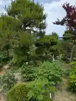 清眼寺(岡山県)