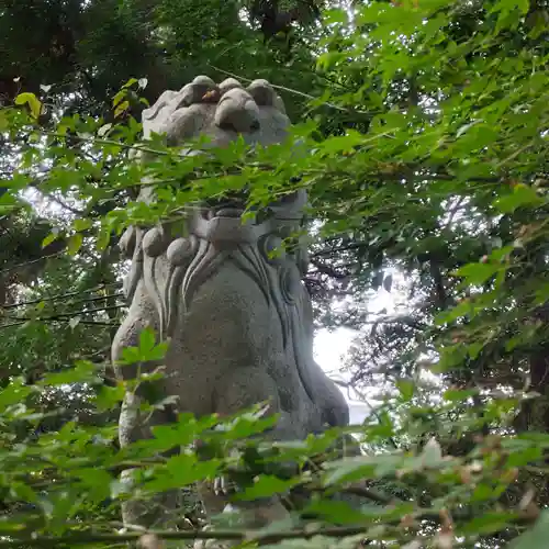 泉神社の狛犬