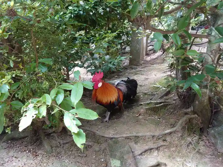 石上神宮の動物