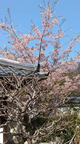 後白河院御聖蹟　法住寺の自然