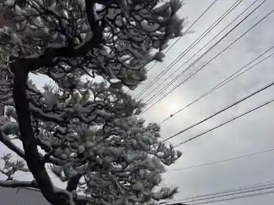 西方山極楽寺(岐阜県)