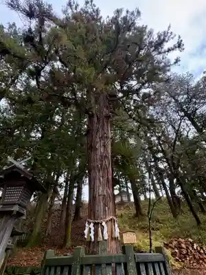諏訪大社下社春宮(長野県)