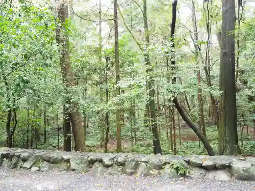 伊勢神宮内宮（皇大神宮）の自然