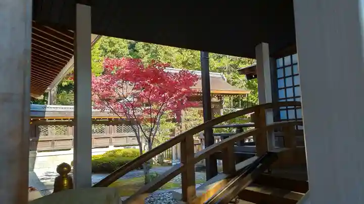 武田神社の本殿・本堂