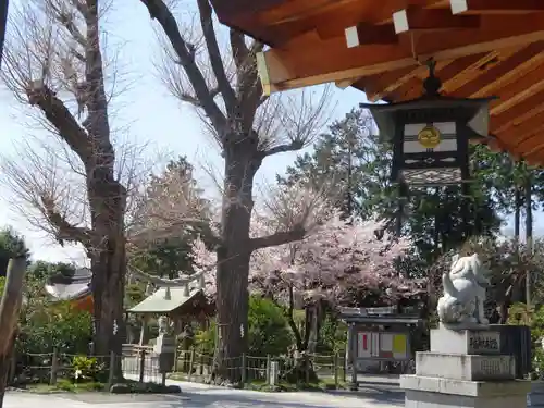 亀ケ池八幡宮のその他建物