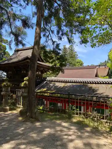 石上神宮(奈良県)