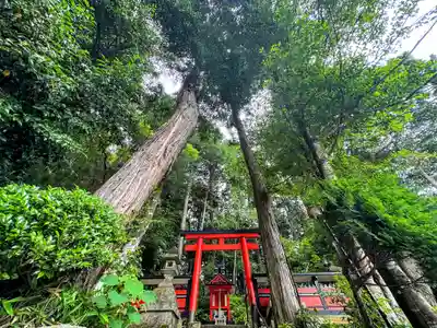 白山神社(奈良県)