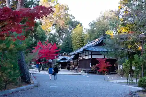 今宮神社(京都府)