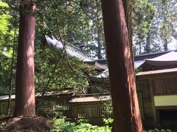 飛驒一宮水無神社(岐阜県)