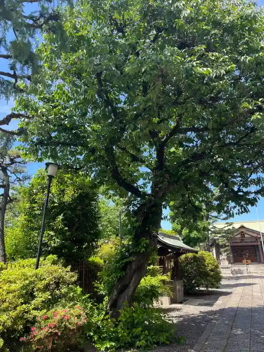 熊野神社の{uncategorized: "未分類", other: "その他", undefined: "問題あり", building: "その他建物", grave: "お墓", sacred_gate: "鳥居", guardian: "狛犬", statue: "像", buddha: "仏像", history: "歴史", nature: "自然", garden: "庭園", animal: "動物", pagoda: "塔", temizu: "手水舎", mountain_gate: "山門・神門", sanctuary: "本殿・本堂", subordinate: "末社・摂社", art: "芸術", scenery: "景色", jizo: "地蔵", ema: "絵馬", goshuin: "御朱印", omikuji: "おみくじ", items: "授与品その他", amulet: "お守り", goshuincho: "御朱印帳", eats: "食事", festival: "お祭り", votive_dance: "神楽", shichigosan: "七五三参", wedding: "結婚式", experience: "体験その他", initially: "初詣", around: "周辺", anti_infection: "感染症対策"}