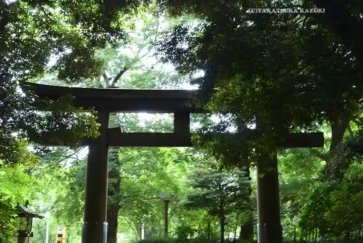 明治神宮(東京都)