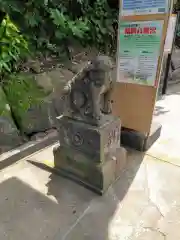 富岡八幡宮の狛犬