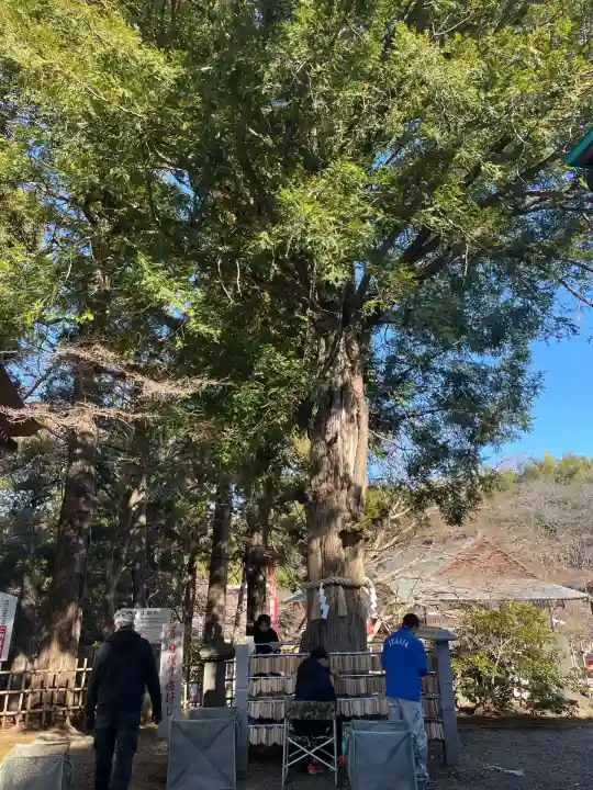 東光院(千葉県)