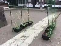 下総国三山 二宮神社の自然