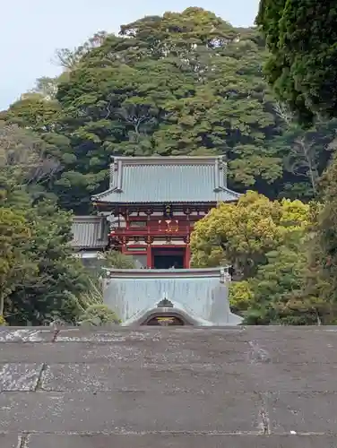 鶴岡八幡宮の本殿・本堂