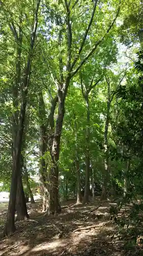 羽黒神社(茨城県)