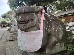 菊田神社の狛犬